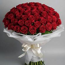 Букет 101 Красная роза Блэк Мэджик в Можайске
