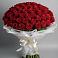 Букет 101 Красная роза Блэк Мэджик в Можайске