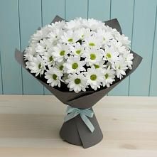 Букет цветов из:  Хризантемы #REPLACE_PRED# Можайске