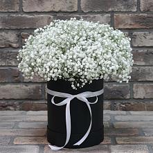 Цветочная композиция из Гипсофила в шляпной коробке в Можайске