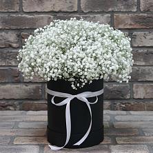 Цветочная композиция из Гипсофила в шляпной коробке в Можайске