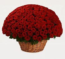 Премиум букет из: Розы в Можайске